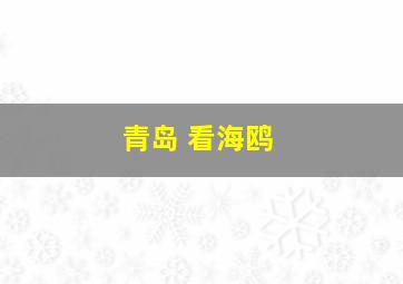 青岛 看海鸥